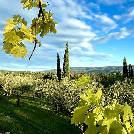 Provence Km28 Bed & Breakfast Gordes Exterior foto