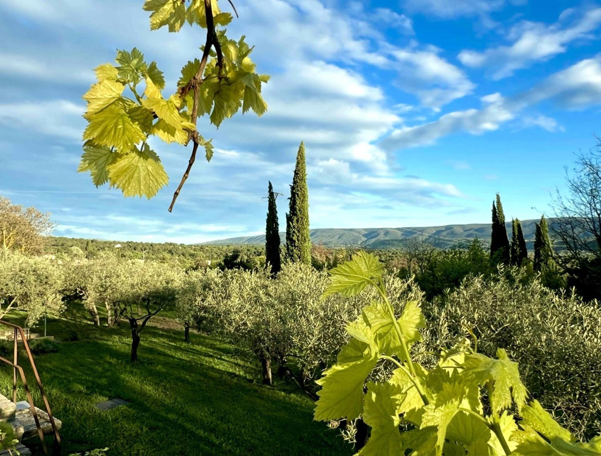 Provence Km28 Bed & Breakfast Gordes Exterior foto