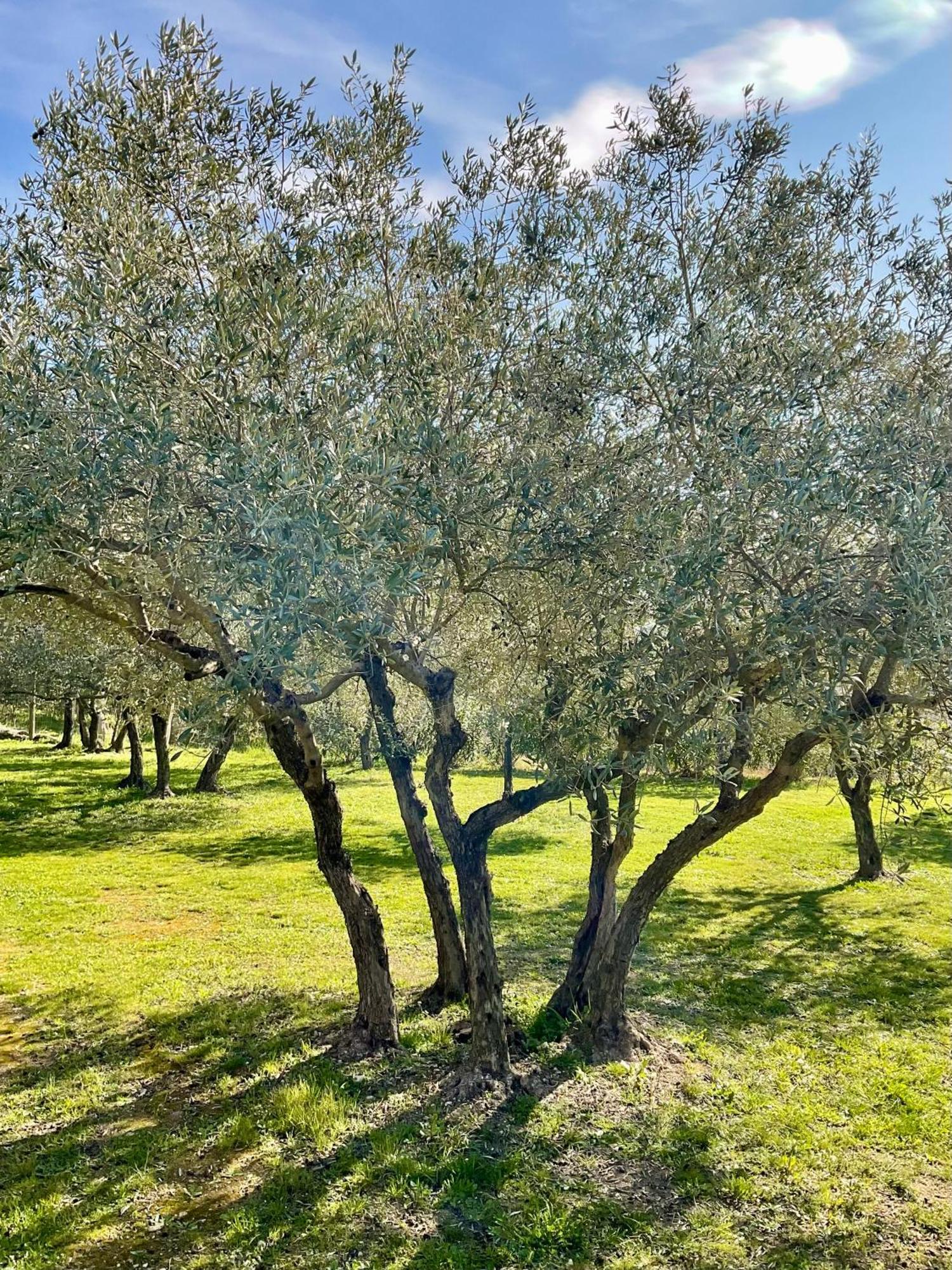 Provence Km28 Bed & Breakfast Gordes Exterior foto