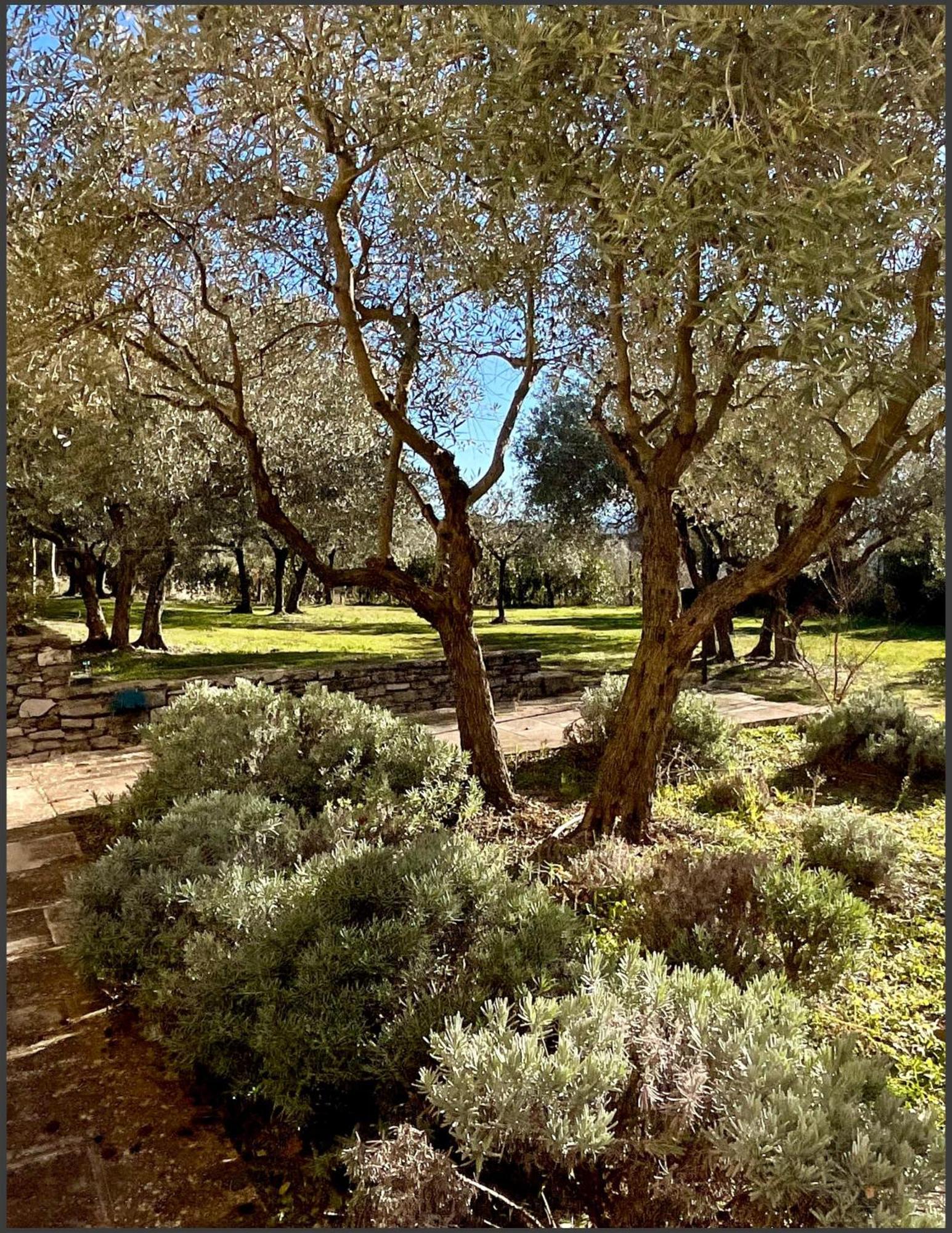 Provence Km28 Bed & Breakfast Gordes Exterior foto
